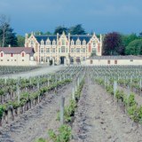 Vineyards in Bordeaux, home of the most famous French red wines