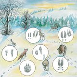 Ίχνη ζώων στο χιόνι