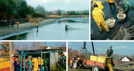 Εργασίες ιχθυοκαλλιέργειας