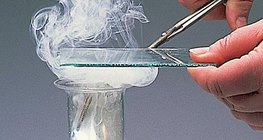 The reaction of magnesium with chlorine