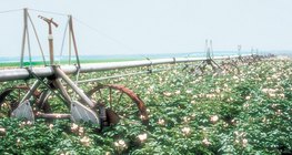 Automatic mobile irrigation equipment
