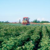 Plains are the most important areas of agriculture