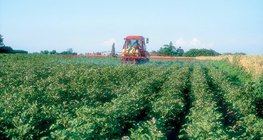 Plains are the most important areas of agriculture