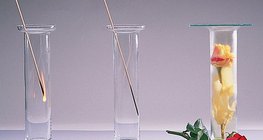 Oxygen supports combustion, nitrogen does not support it, chlorine bleaches