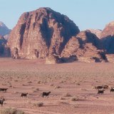 Wadi, αραβική λέξη για την ξηρή κοίτη ποταμού