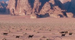 Wadi, αραβική λέξη για την ξηρή κοίτη ποταμού