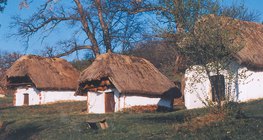 Κτίρια με καλαμωτές στέγες