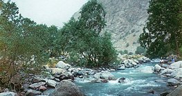 Mountain stream in the Pamir Mountains