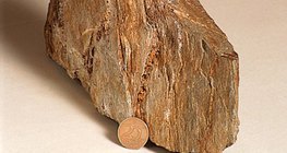 μεσαιολιθικός