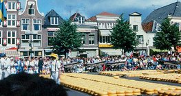 Cheese market in Alkmaar