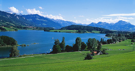 Lake in the mountains