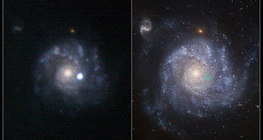 A supernova and its host galaxy