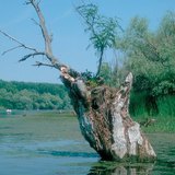 Σταθμοί τέλους μιας λίμνης: ενδορραϊκή λίμνη