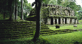 Maya ruins