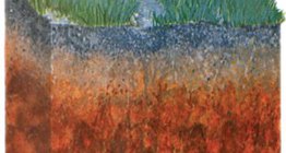 Καφετί δασικό έδαφος