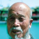 Μογγολοειδής