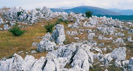 Karst landscape