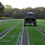 Καλλιέργεια της γης