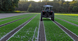 Καλλιέργεια της γης