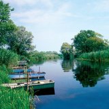 Καλαμώνες φιλτράρουν το νερό προς τις λίμνες