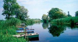 Καλαμώνες φιλτράρουν το νερό προς τις λίμνες