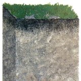Field soil