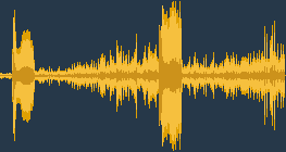 Μαύρος δρυοκολάπτης