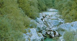 River valley in the Karst Plateau