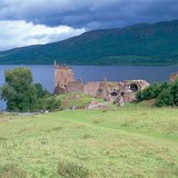 A green meadow in the oceanic climate zones
