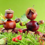 Toys made from conkers and acorns