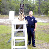 Police dog