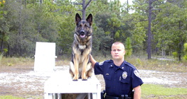Police dog