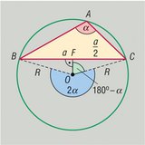 The relationship between a triangle's sides and angles, and the circle drawn around it