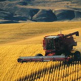 Συγκομιδή δημητριακών