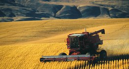 Συγκομιδή δημητριακών