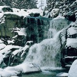 Mountain stream in the Tatras