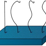 Examination of the spine