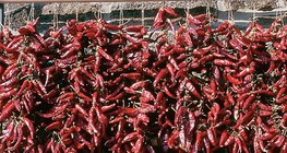 Drying red pepper