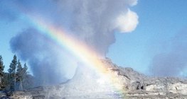 Geyser in Yellowstone National Park