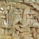 σφηνοειδές