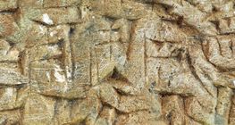 σφηνοειδές