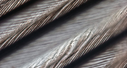 Λεπτή δομή φτερού πουλιού με αλληλένδετα μυστάκια