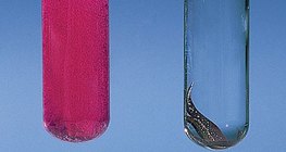 Αντίδραση ασβεστίου και χαλκού με νερό