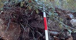 Section of lithosoil
