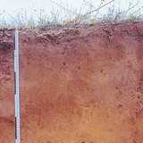 Sand soil profile