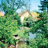 Storage house for vegetables