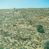 βραχώδης έρημος