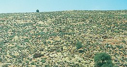 βραχώδης έρημος