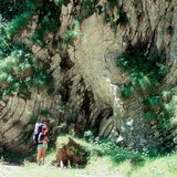 Πτυχωμένα πετρώματα