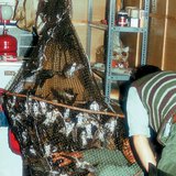 Ringing swallows captured in a net